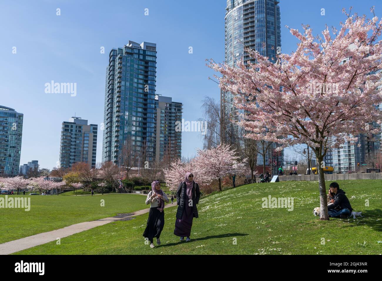 Vancouver, BC, Canada March 31 2021 David Lam Park in springtime