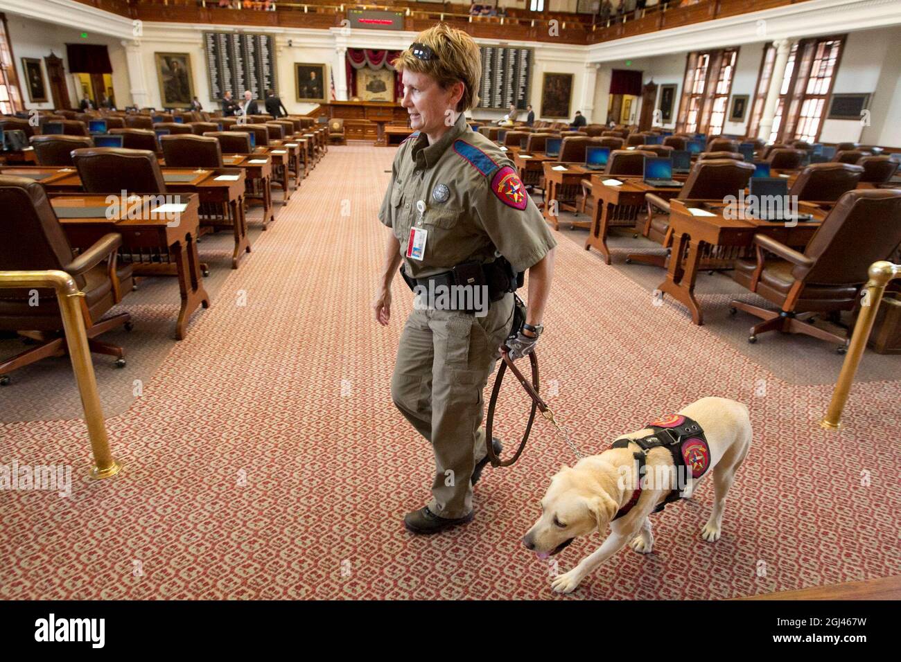 Texas, USA. 1st July, 2013. A Department of Public Safety police dog ...