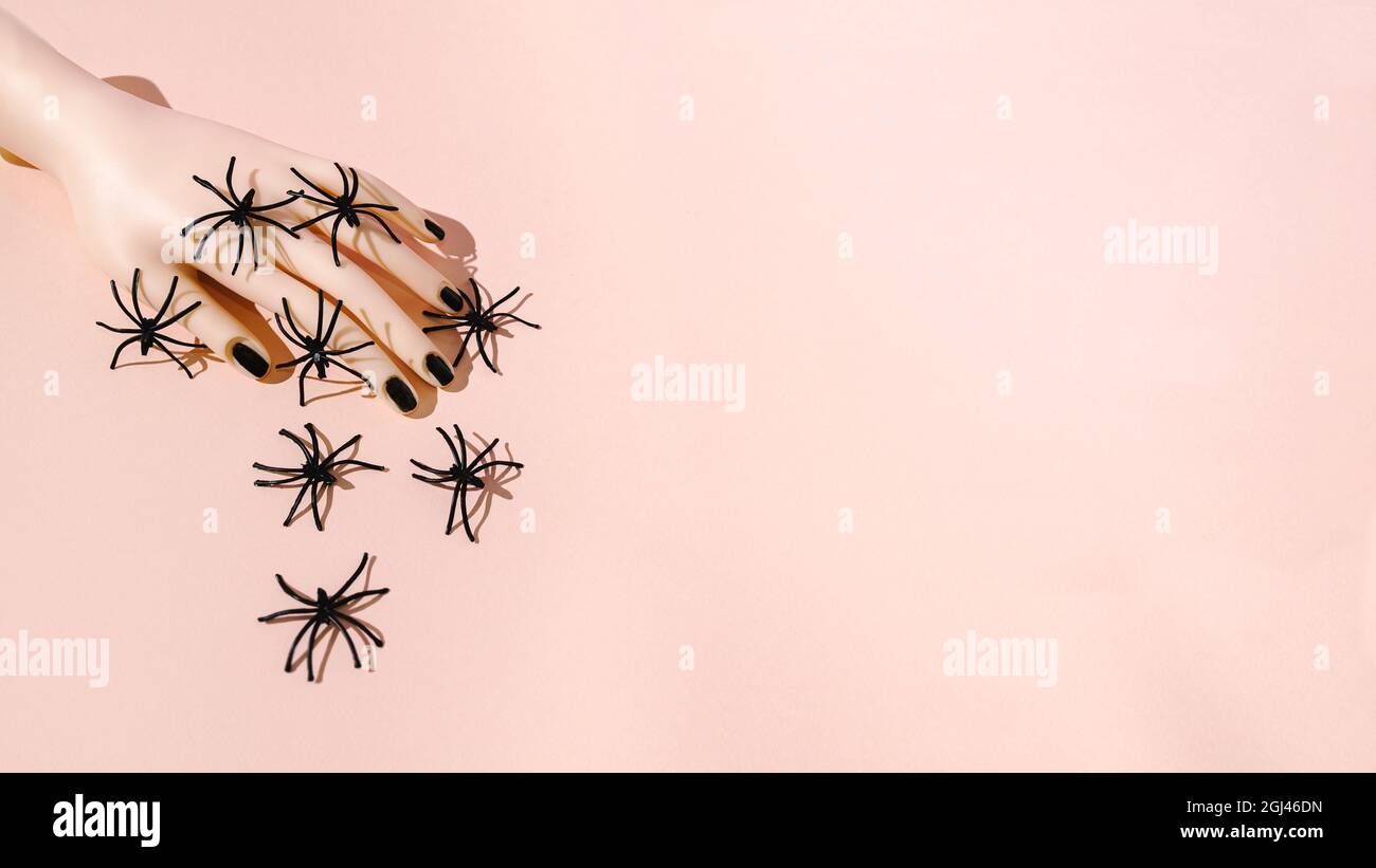 A hand with black nails covered with spiders. Pastel pink background. Halloween horror background or creative design. Copy space. Stock Photo