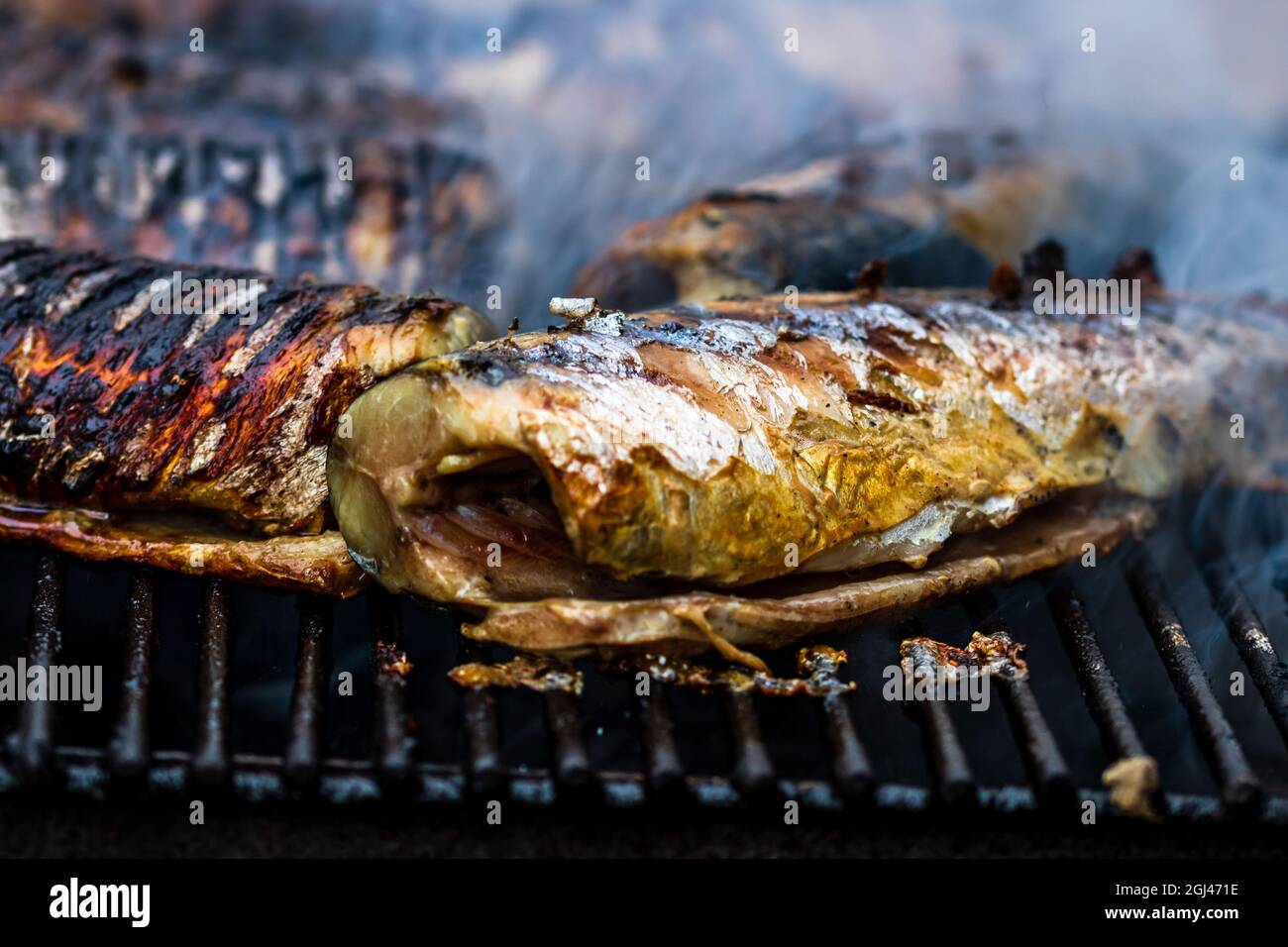 Grilling fish on a charcoal grill Stock Photo Alamy