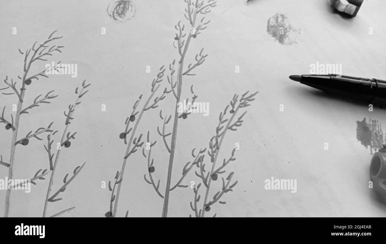 Photo of a marker pen with a Japanesestyle object in grayscale Stock