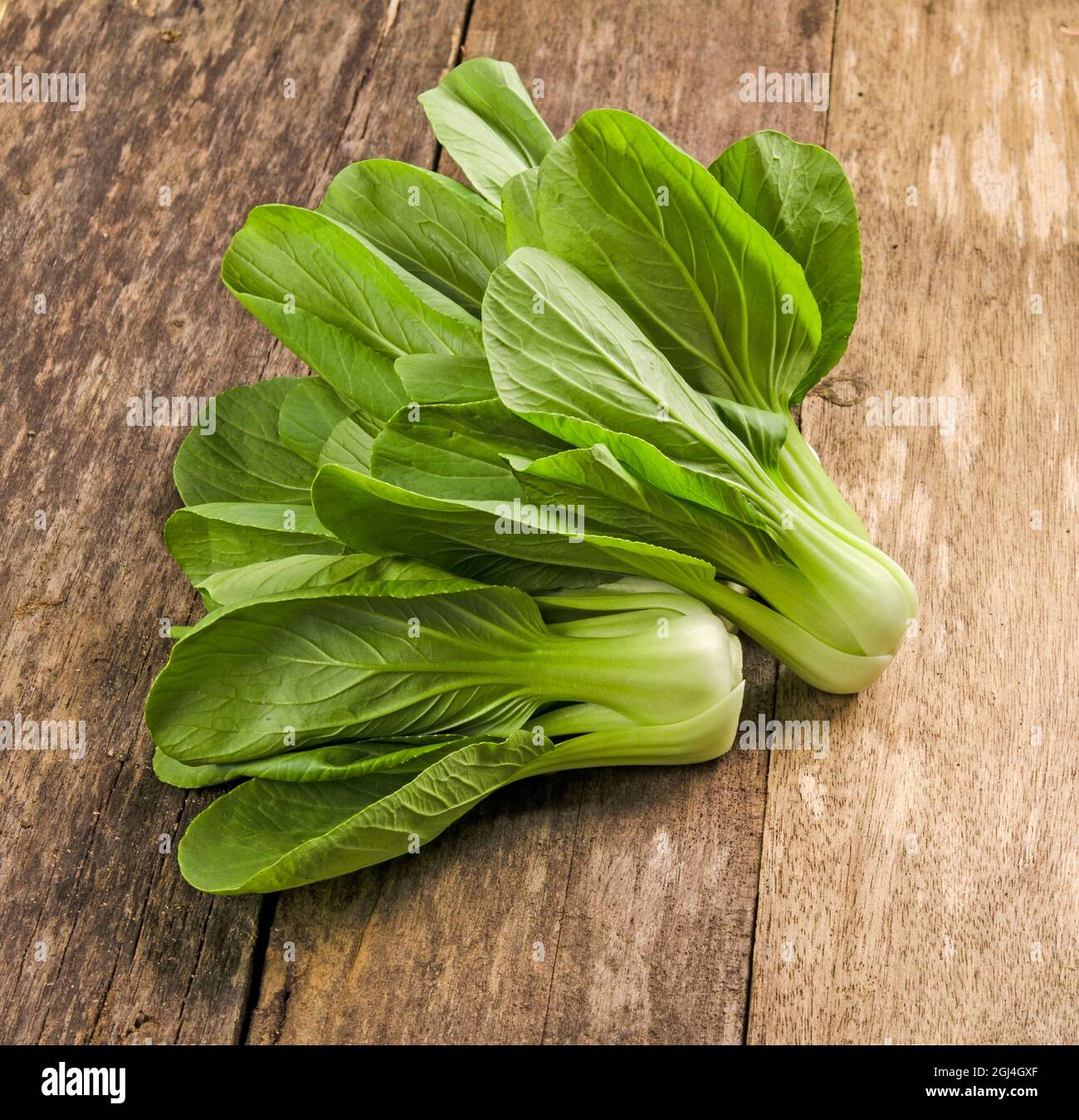 Overhead shot of Chinese cabbage, Bok Choy, on rustic wood Stock Photo