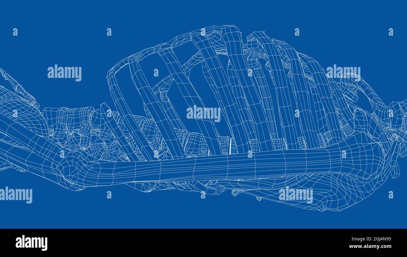 Human skeleton. Vector Stock Vector Image & Art - Alamy