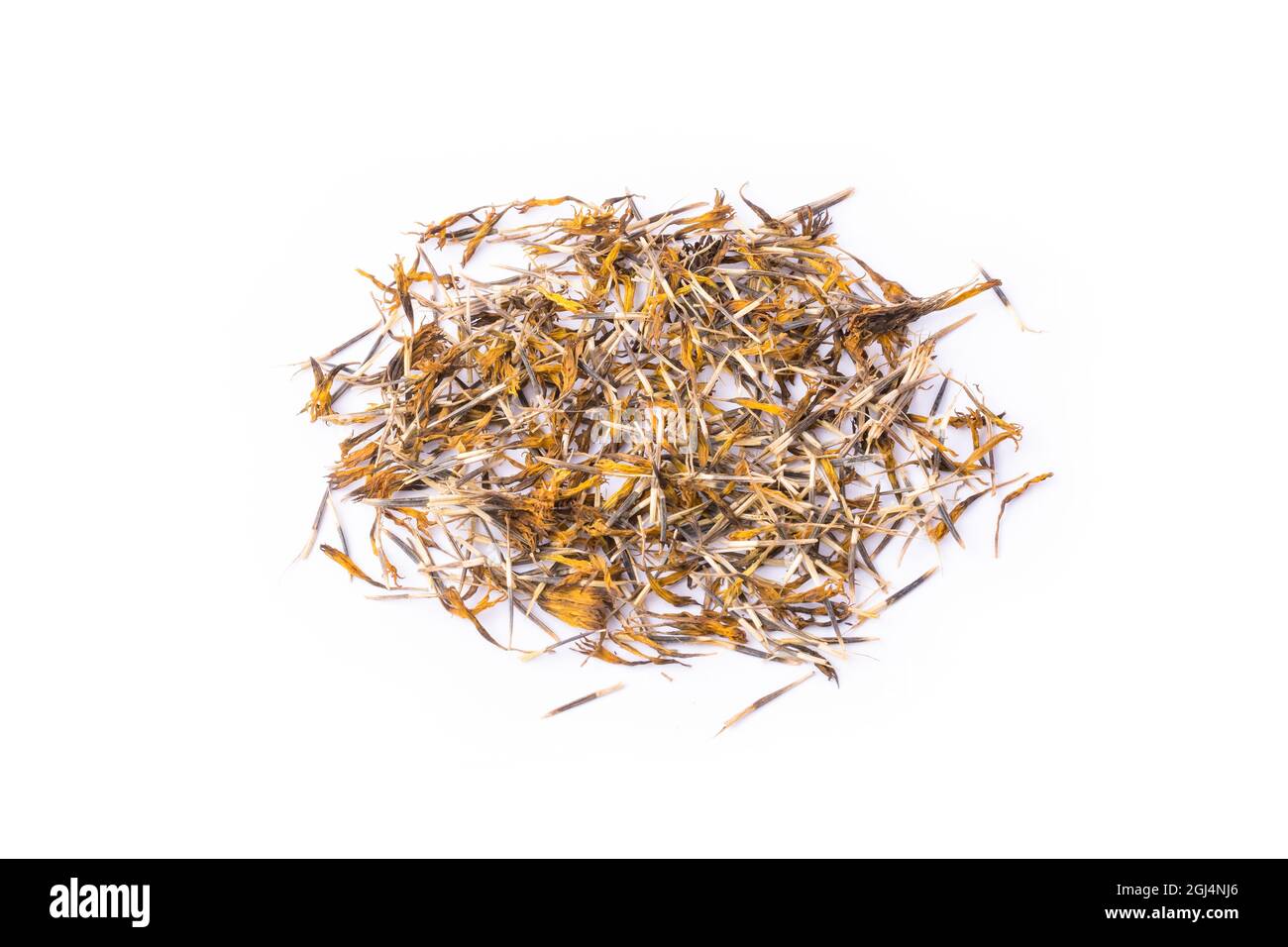 marigold flower seeds, long, thin and pointed pulled away seeds from the dried flower base to grow organically, isolated on white background, closeup Stock Photo