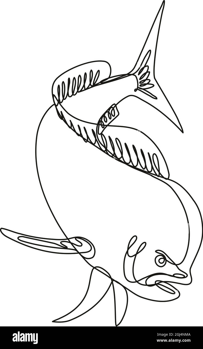 Continuous line drawing illustration of a dorado dolphin fish or mahi ...