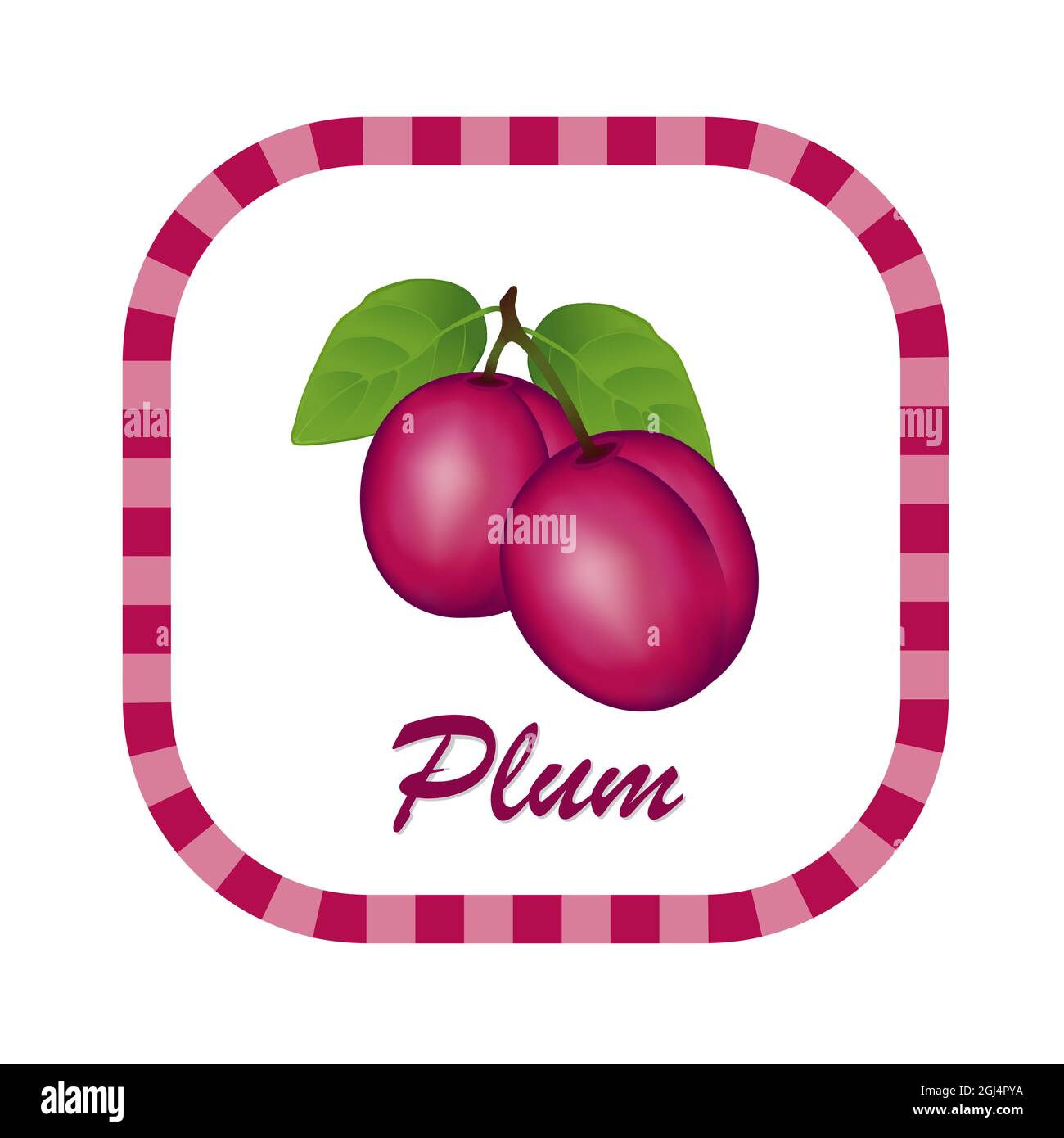 Plums vector vectors hires stock photography and images Alamy