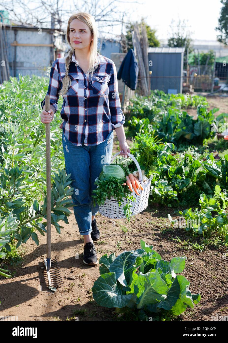 Young woman gardener holding harvest of vegetables and greens in basket ...