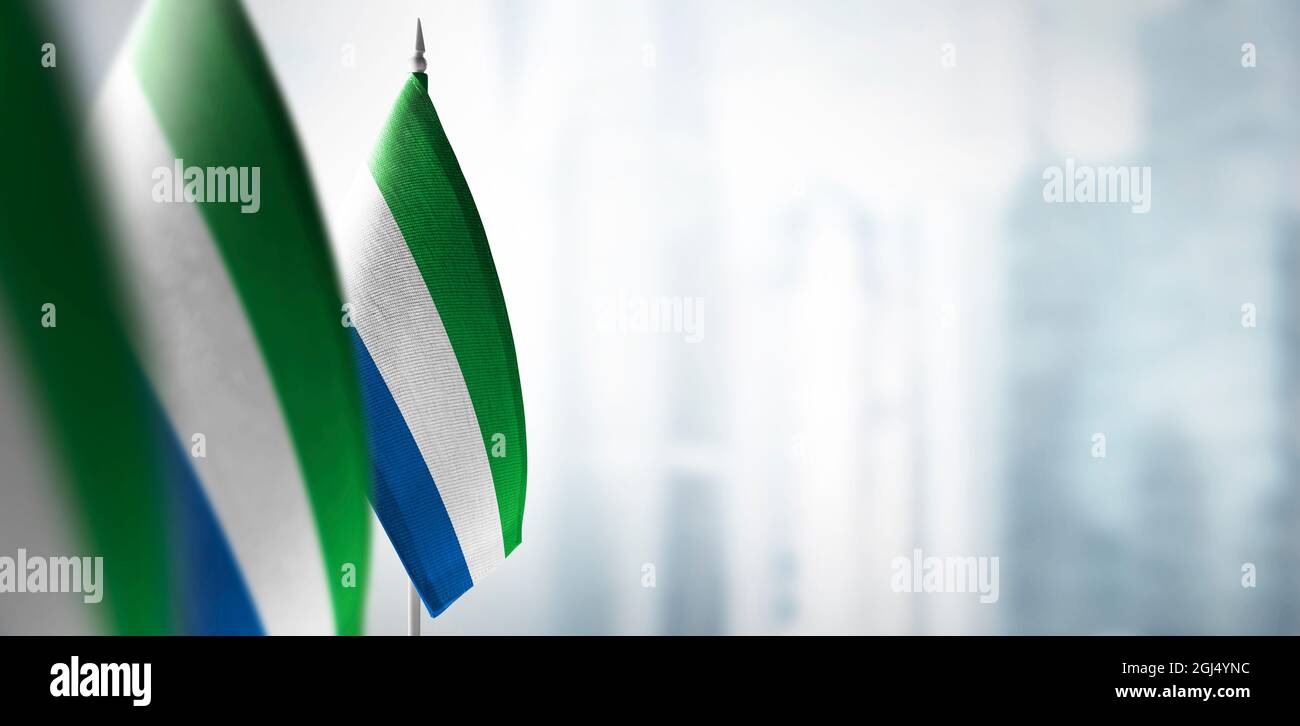 Small flags of Sierra Leone on a blurry background of the city Stock ...