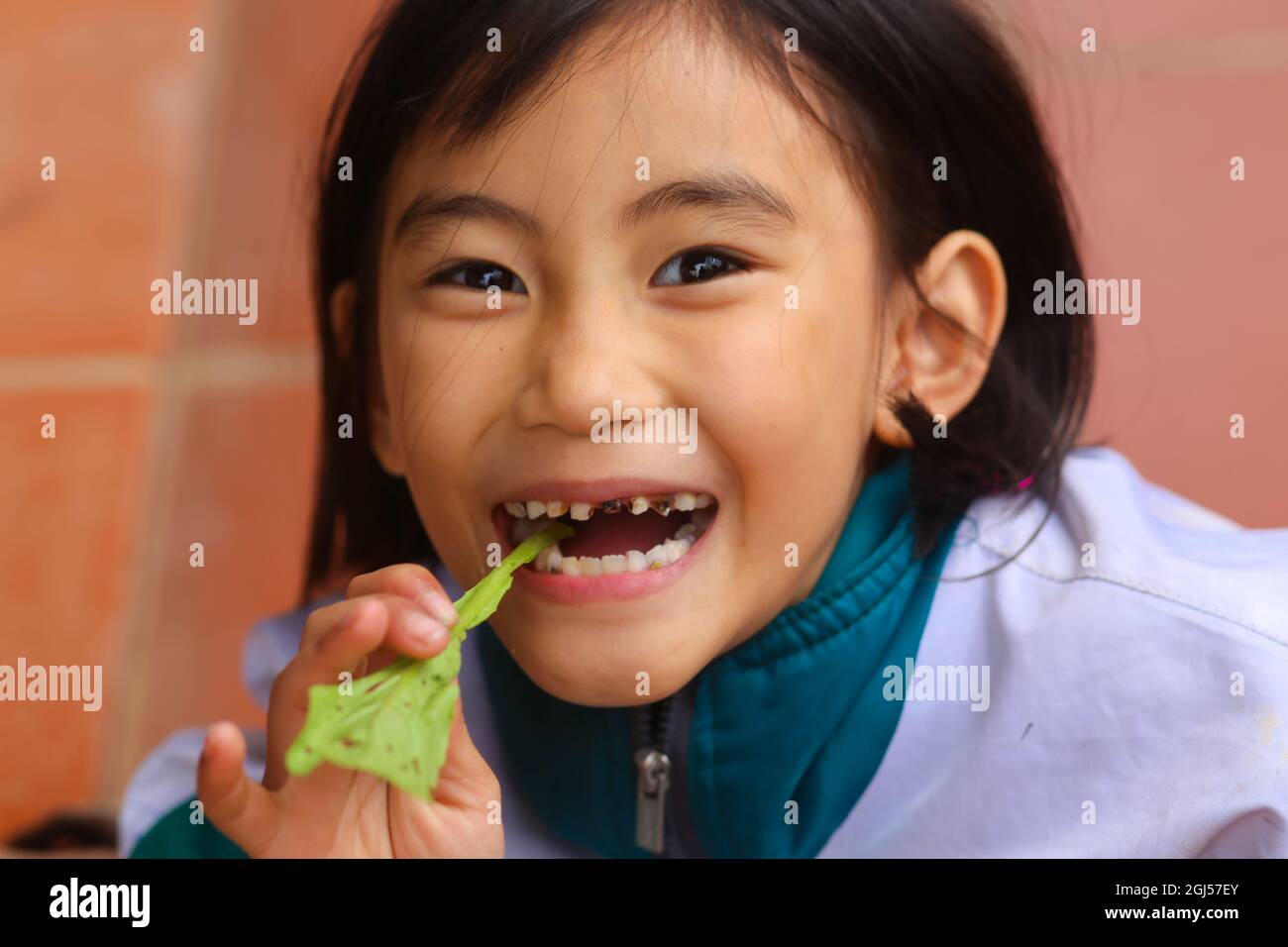 a young little girl is laughing with decayed teeth and leaf mustard on her hand Stock Photo