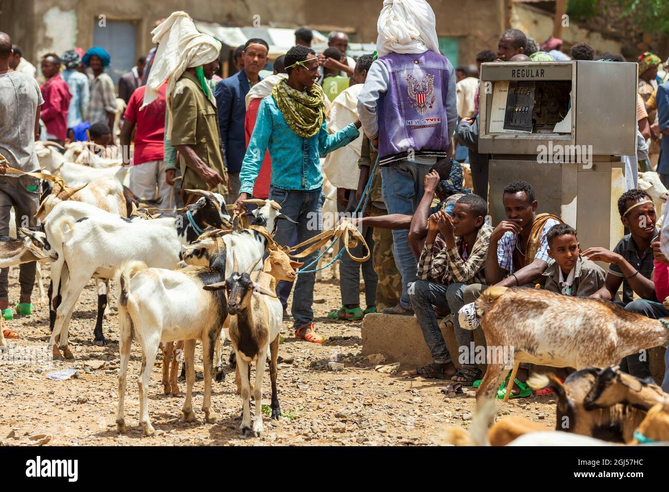 AXUM, ETHIOPIA, APRIL 27th 2019: Tigray native people selling firewood  loaded on dirty donkeys on the main street of Aksum on April 27, 2019 in  Aksum Stock Photo - Alamy