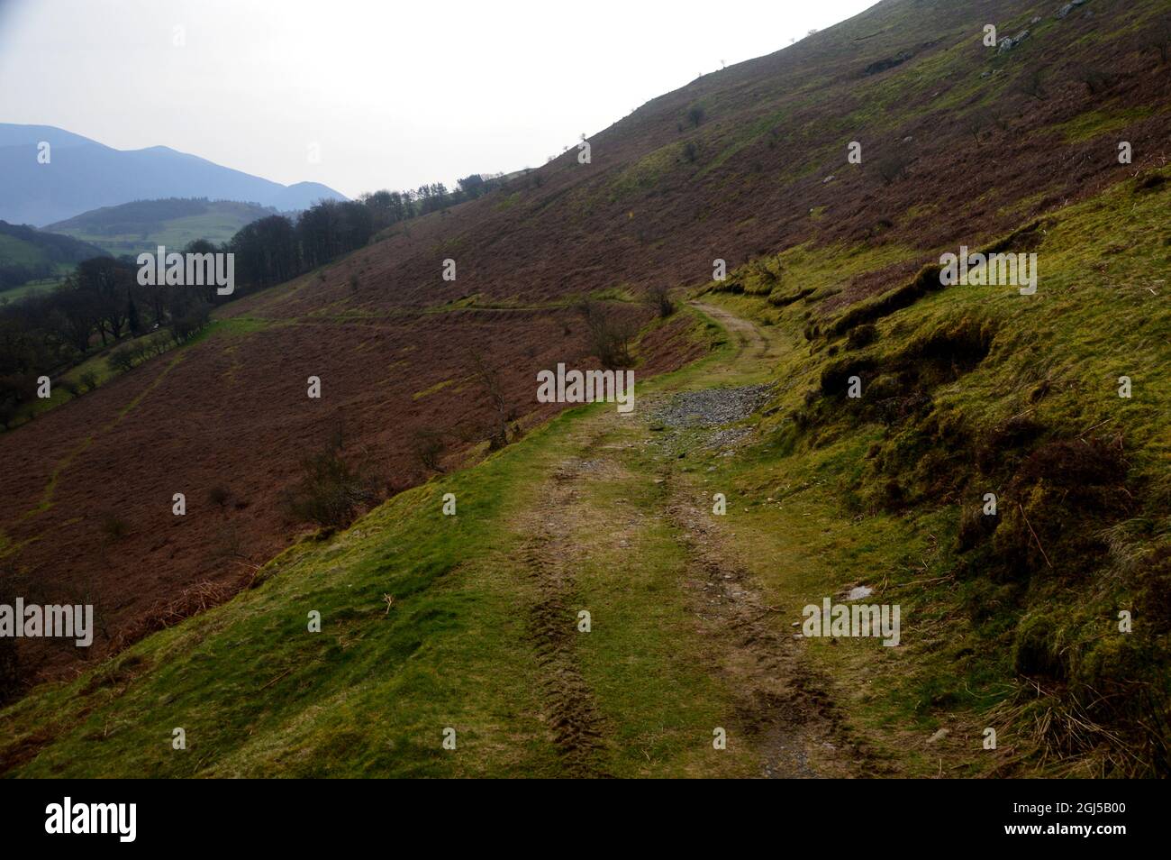 The Old Corpse Road on the Wainwright 'Ling Fell' in the Lake District National Park, Cumbria, England, UK. Stock Photo