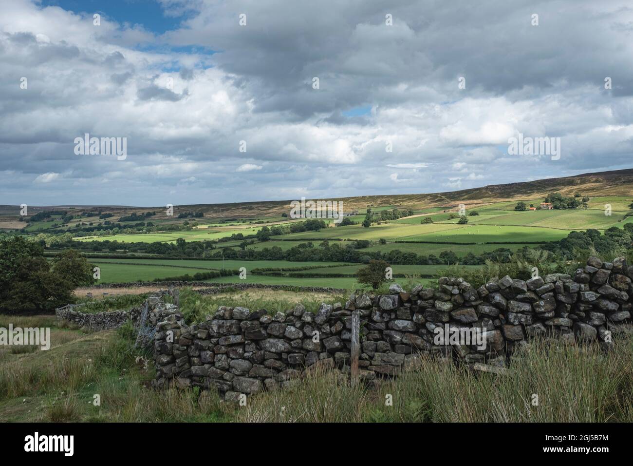 A hand built dry stone wall on a farm on the North Yorkshire Moors ...