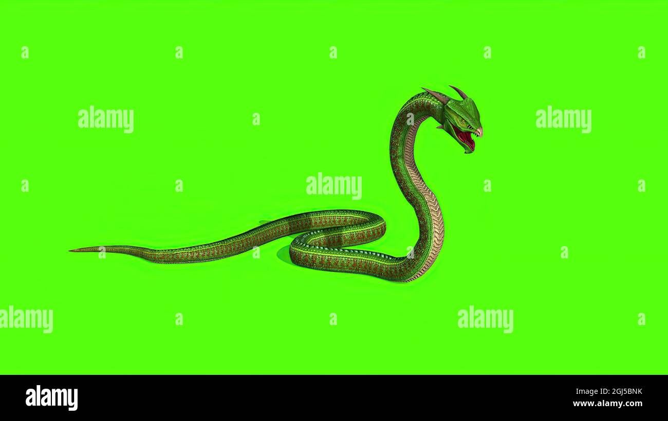 3d illustration - Snake on a Green Screen - background Stock Photo - Alamy