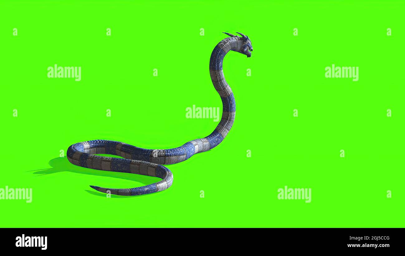 on screen snake on screen snake