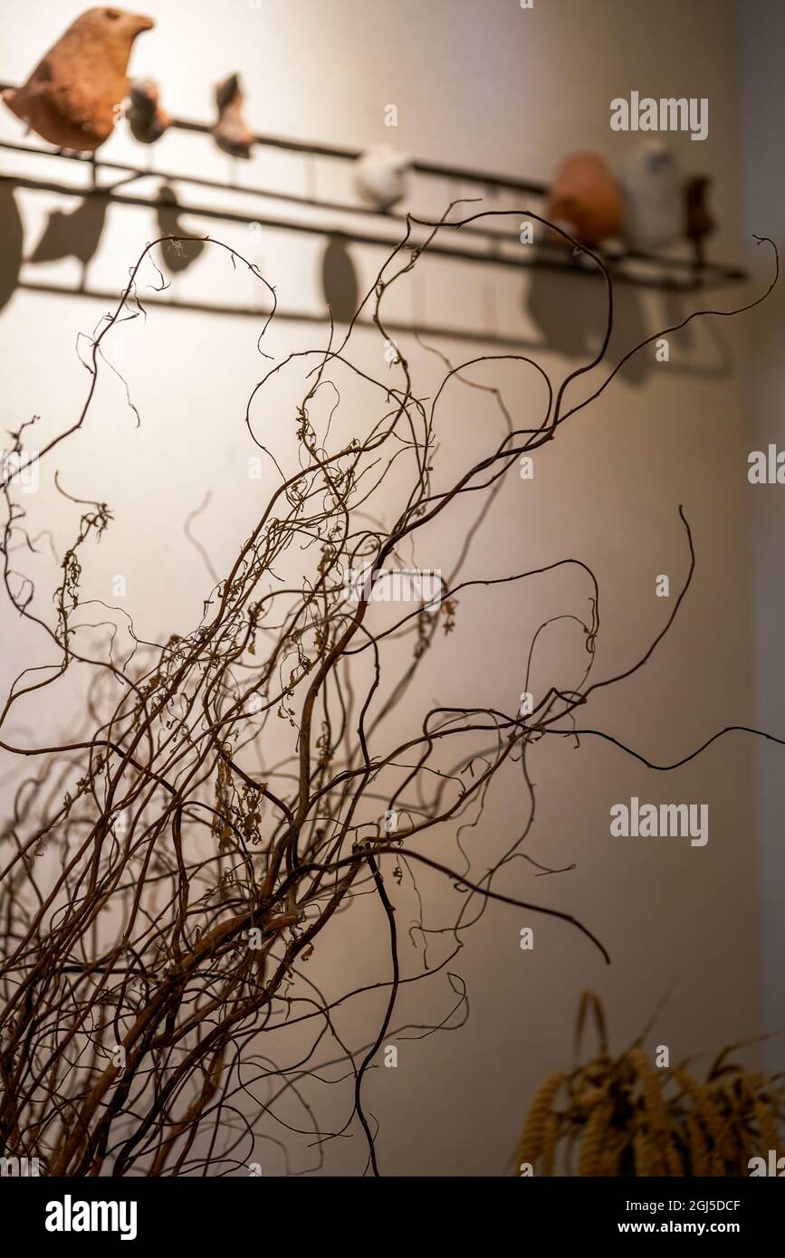 Indoor dry vine decorative flower arrangement closeup Stock Photo Alamy