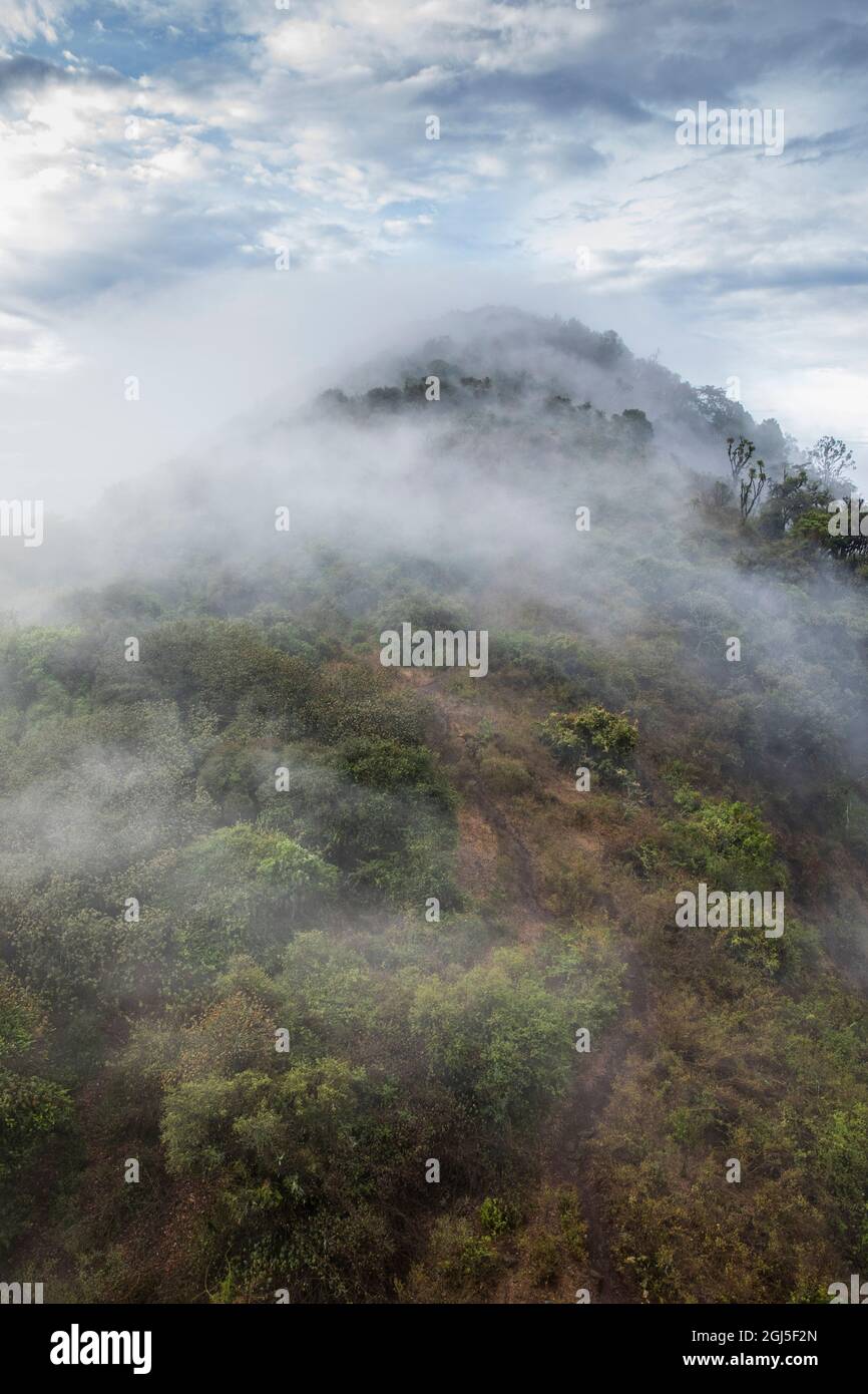 Africa, Kenya, Ngong Hills Nature Reserve, Aerial view of forest-covered slopes of Ngong Hills outside Nairobi Stock Photo