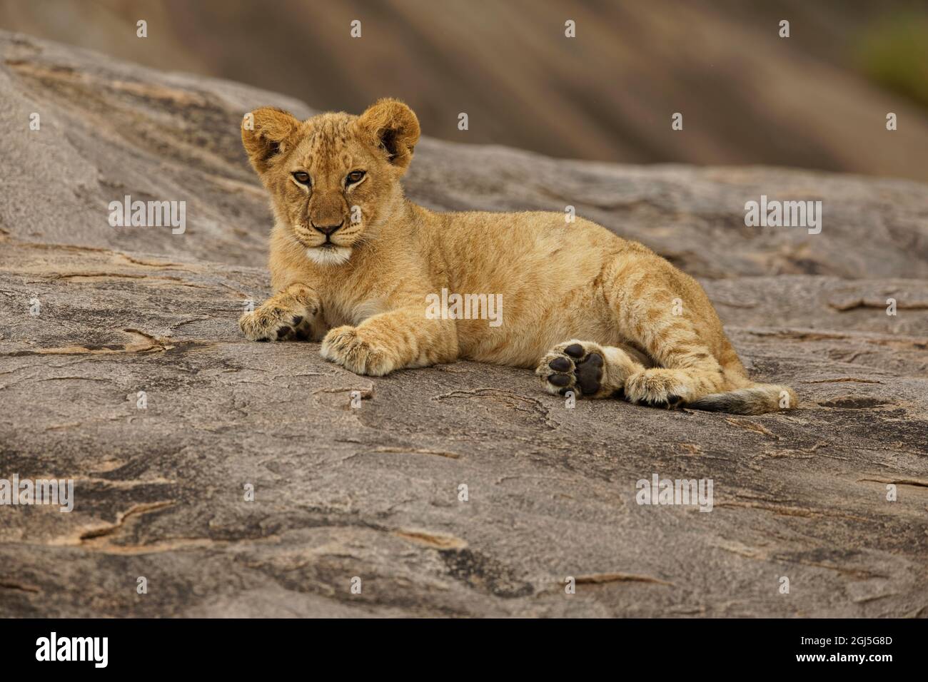 Adam looking down hi-res stock photography and images - Alamy