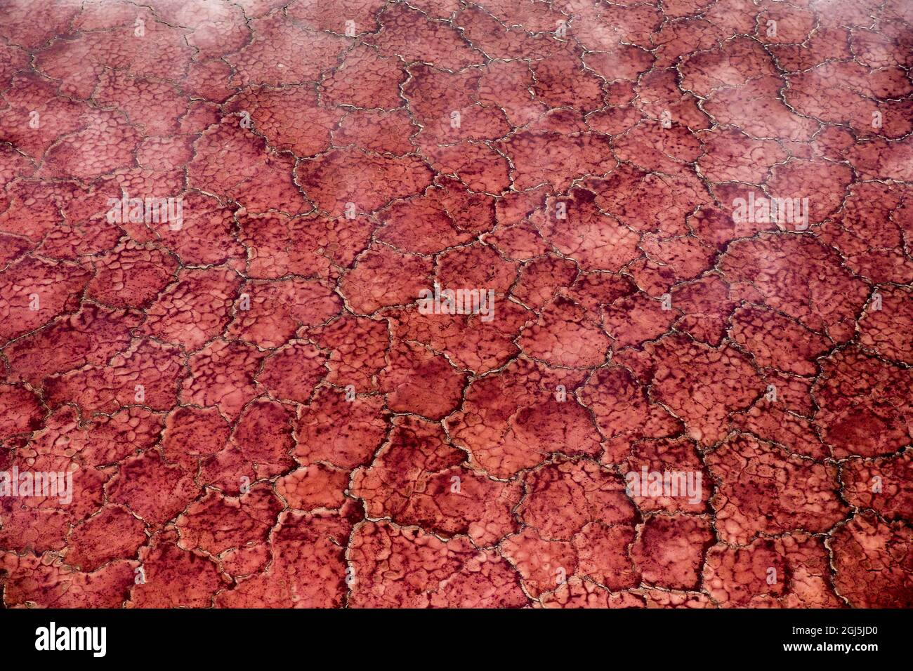 Africa, Tanzania, Aerial view of patterns of red algae and salt formations in shallow salt waters of Lake Natron Stock Photo