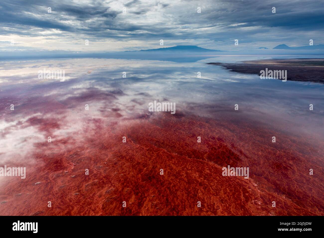 Africa, Tanzania, Enhanced contrast aerial view of patterns of red algae and salt formations in shallow salt waters of Lake Natron and distant Ol Doin Stock Photo
