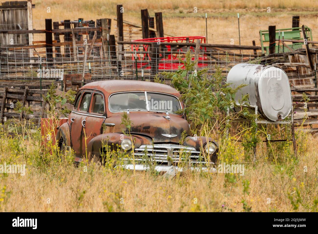 Car overgrown by weeds hi-res stock photography and images - Alamy