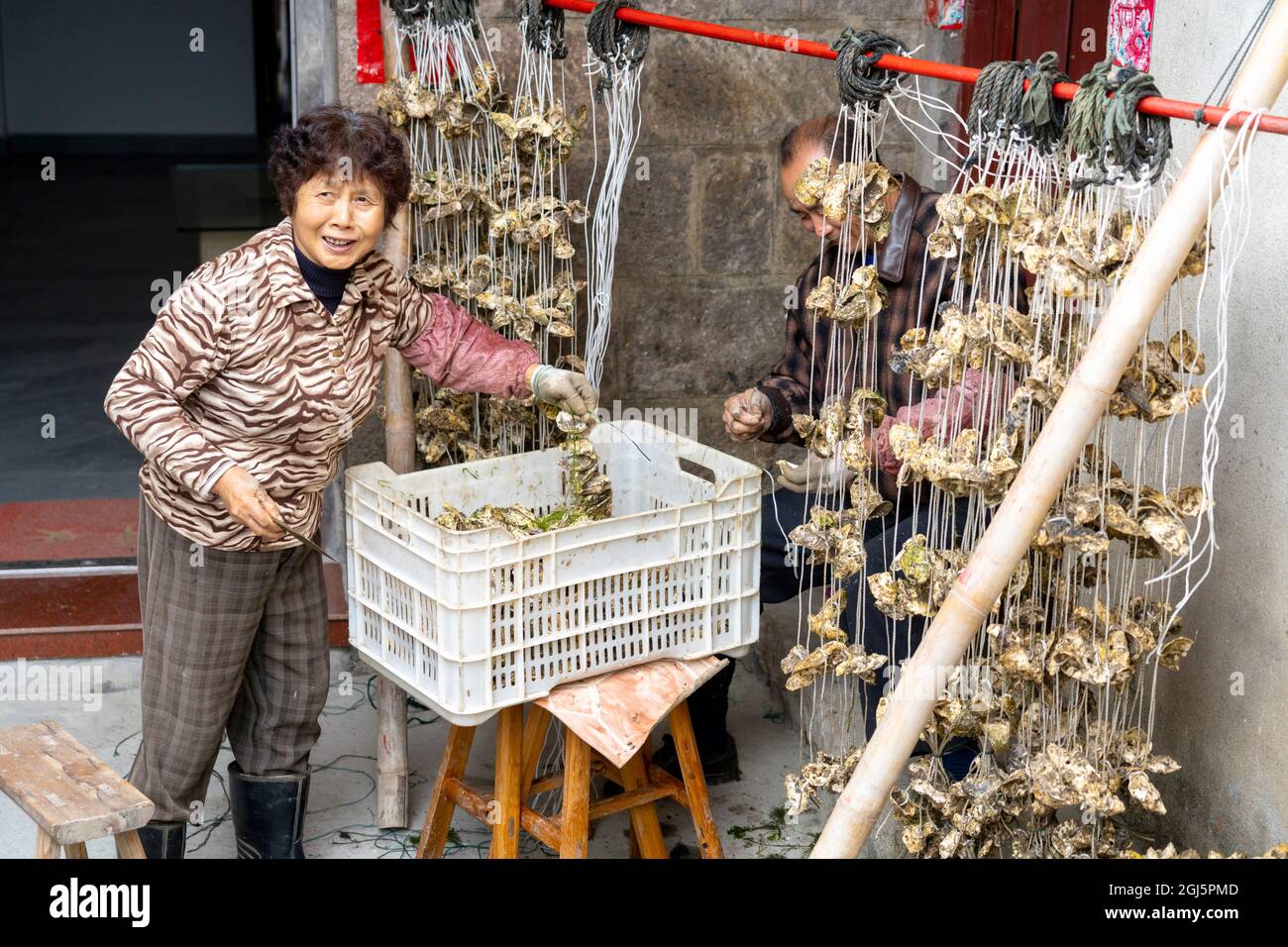 String of shells hi-res stock photography and images - Alamy