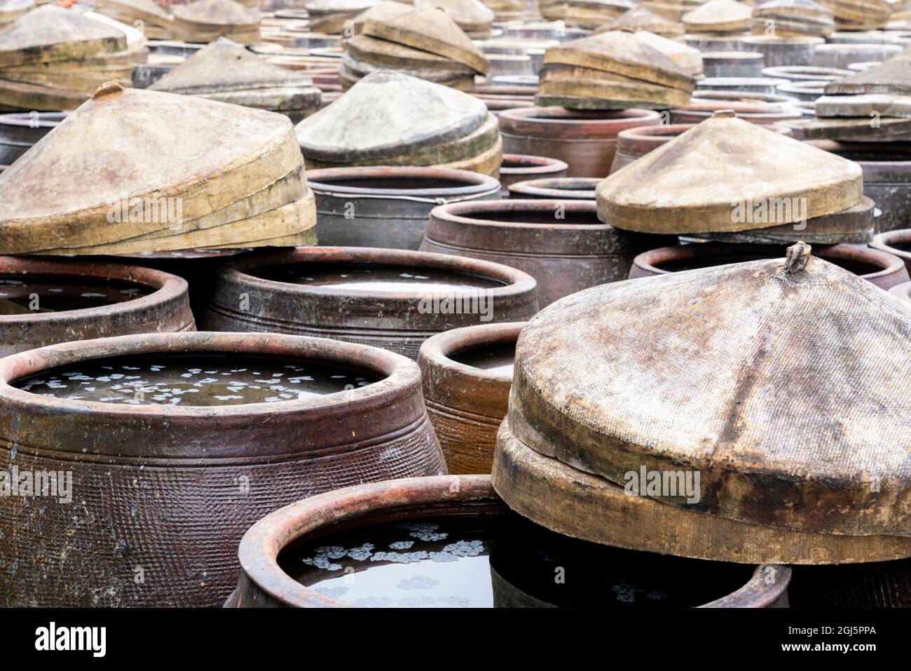 China, Fujian Province, Xiapu, Nantang. Fish sauce is made at this factory where the fermentation takes place in this giant ceramic pots. Stock Photo