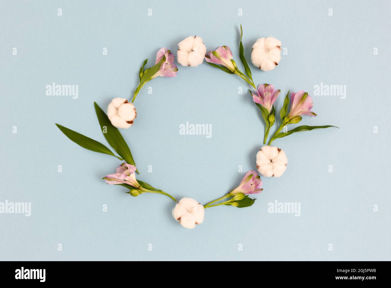 Round frame made of alstroemeria flowers, cotton and green leaves on a ...