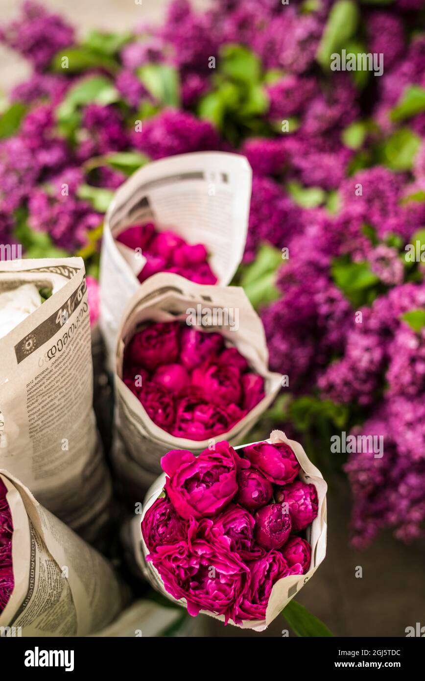 Tbilisi. Old Town, flower market Stock Photo Alamy