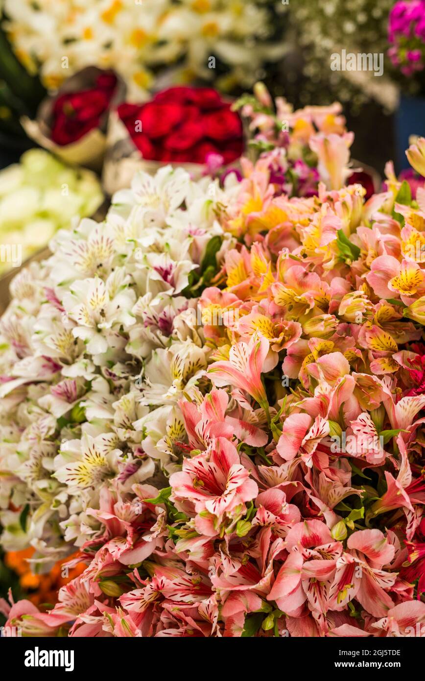 Tbilisi. Old Town, flower market Stock Photo Alamy