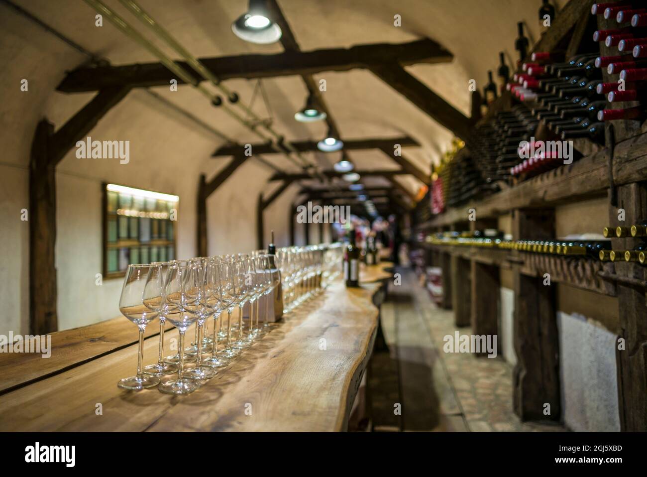 Kakheti, Kvareli. Winery Khareba, underground wine tasting