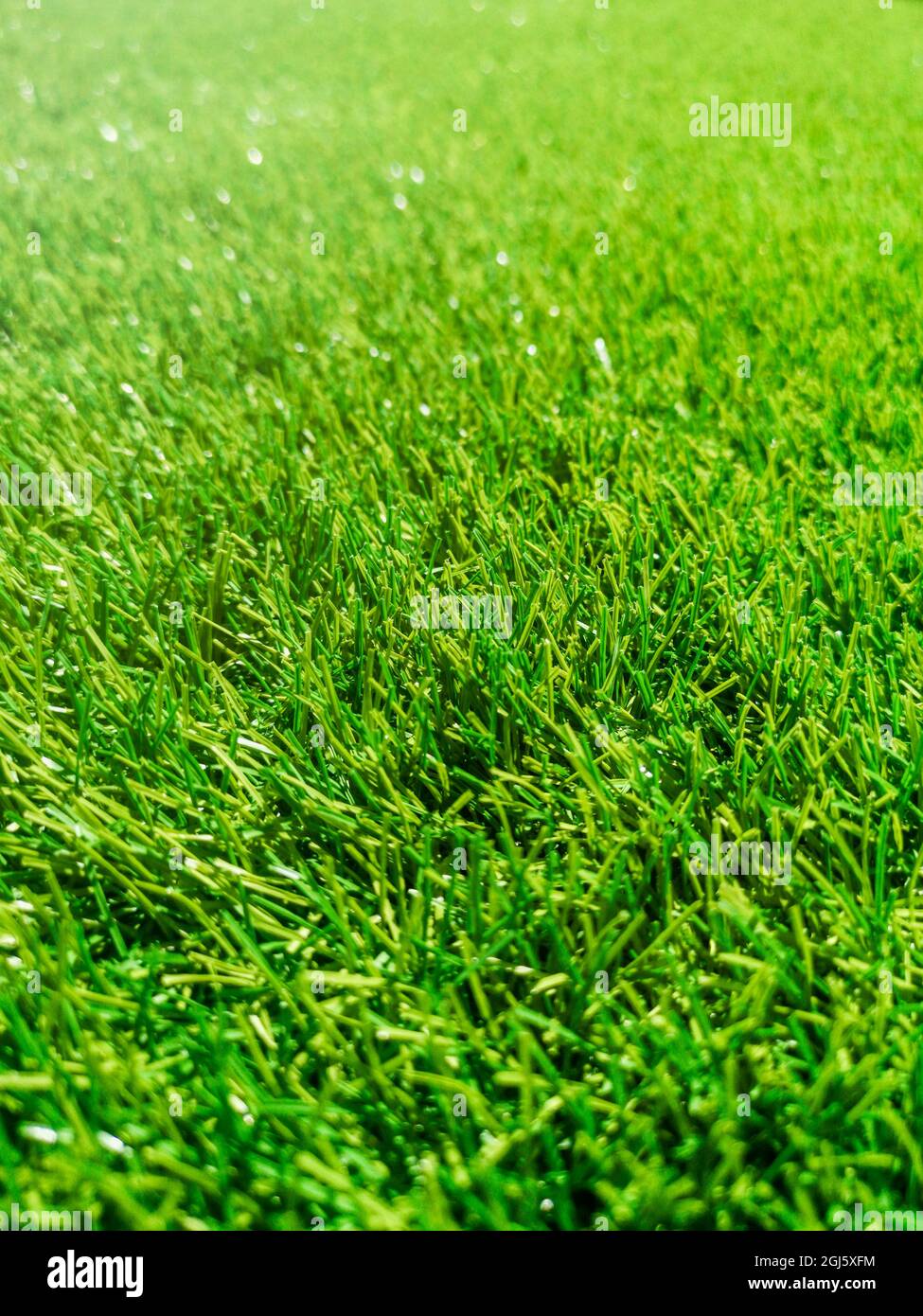 Artificial green grass, green grass, grass background texture Stock