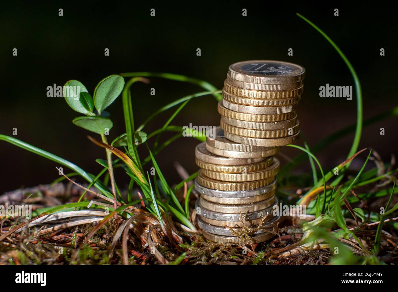 Stack of euro coins in nature. Green economy. Stock Photo