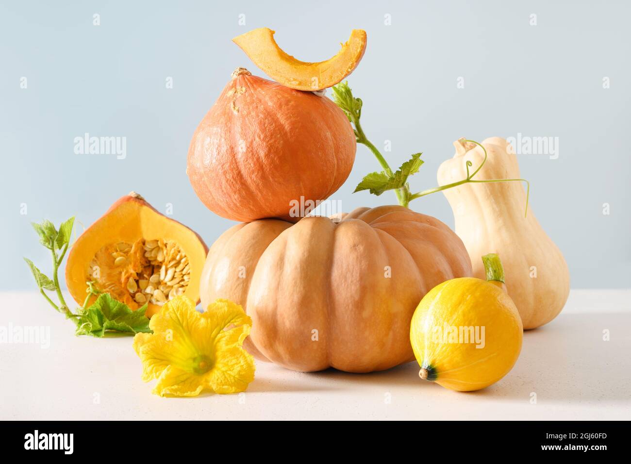 Autumn creative balance composition of organic pumpkins, flowers, and leaves on modern colorful background. Concept fall harvest for Thanksgiving Day Stock Photo