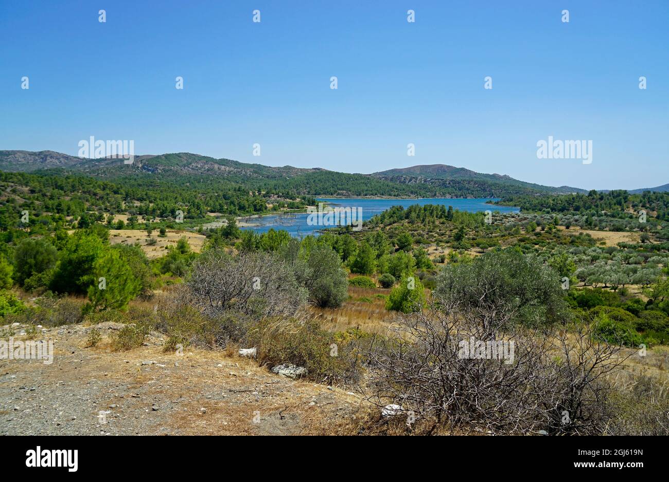 artificial lake gadoura dam on rhodes in greece Stock Photo Alamy