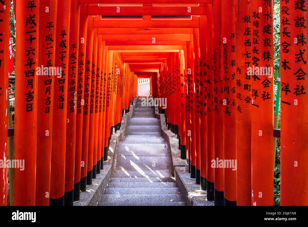 Famous Torii, or gates of the entrance to the Hie Shrine in Tokyo, Japan Stock Photo