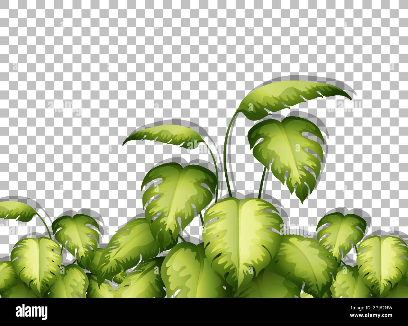Tropical leaves on transparent background illustration Stock Vector ...