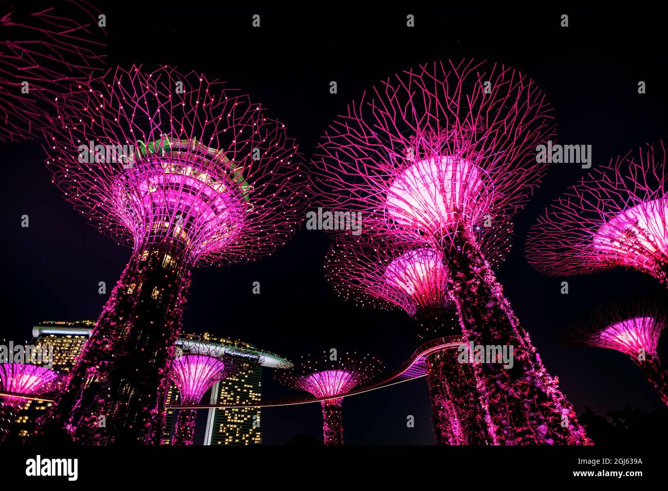 Garden Rhapsody Supertree light show, Gardens by the Bay, Singapore