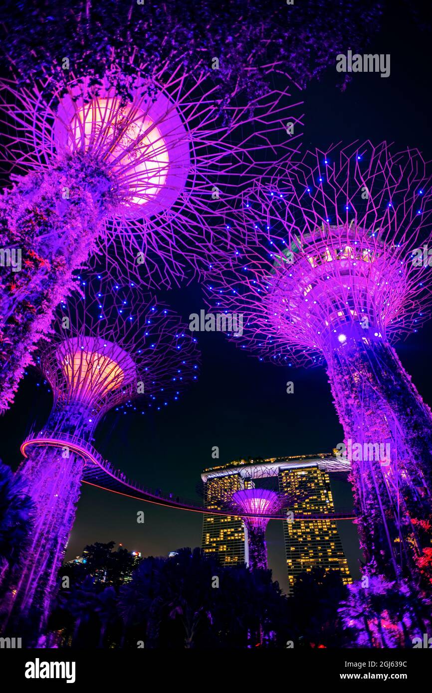 Garden Rhapsody Supertree Light Show Gardens By The Bay Singapore 