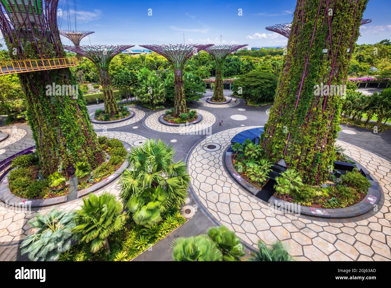 Ocbc Sky Tree The Supertree Grove from the OCBC Skyway at Gardens by the Bay ...