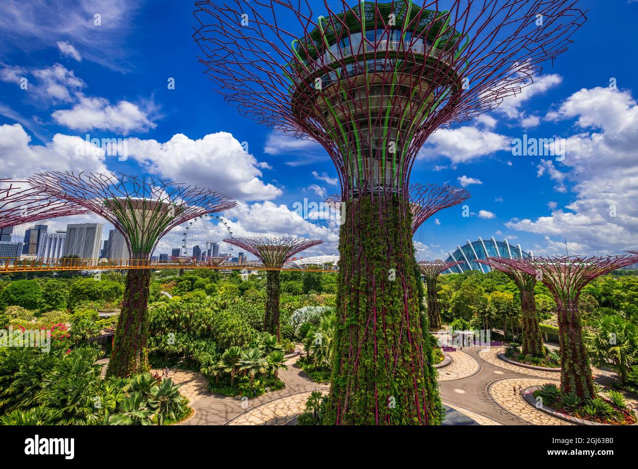 The Supertree Grove from the OCBC Skyway at Gardens by the Bay, Singapore. Stock Photo