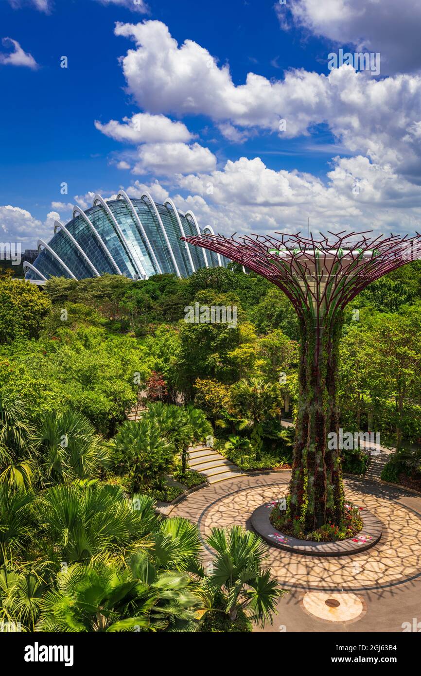 The Supertree Grove from the OCBC Skyway at Gardens by the Bay, Singapore. Stock Photo