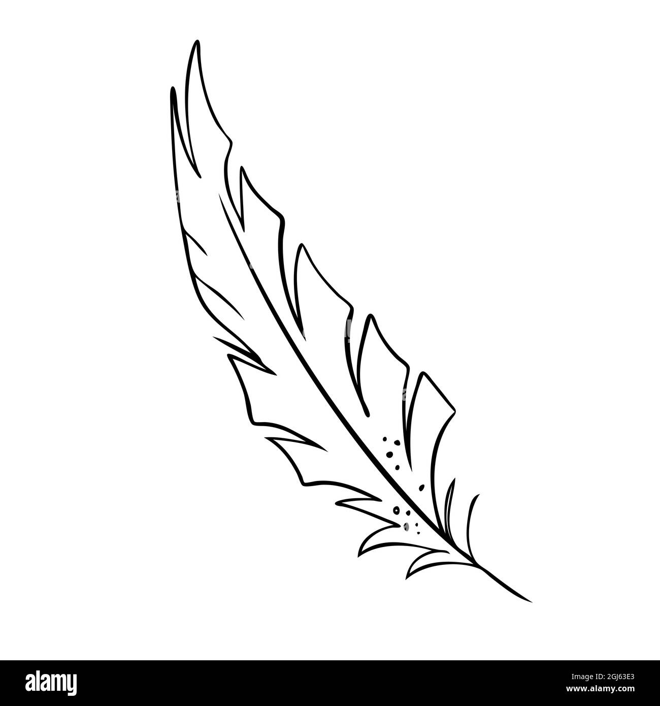 bird's feather graphic vector sketch Stock Vector Image & Art - Alamy
