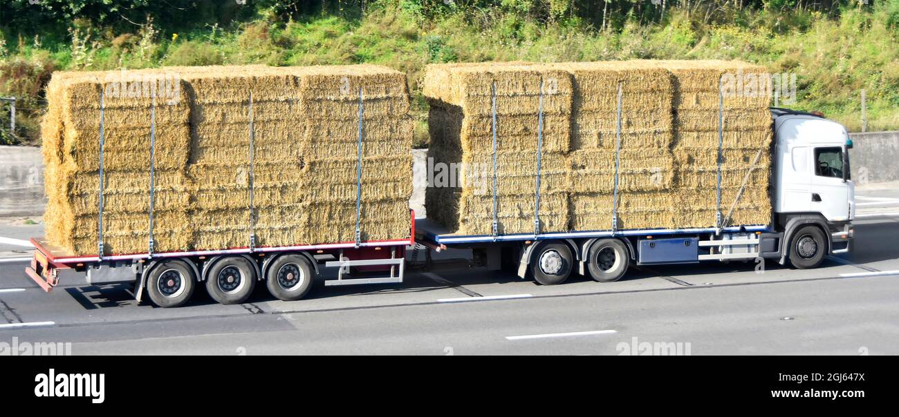 Side view of white unmarked flat bed lorry truck & flatbed towing trailer loaded with conventional straw bales held in place by straps on UK motorway Stock Photo