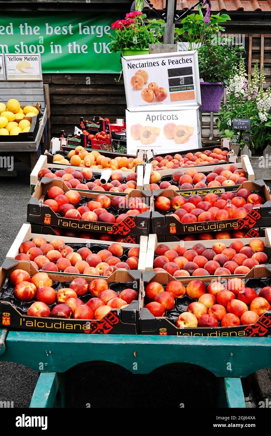 Full loaded green grocer barrow display of assorted Nectarines Peaches