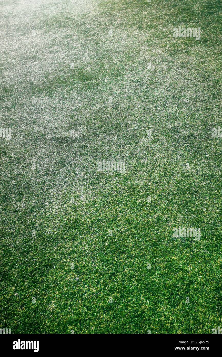 Artificial Turf, Artificial Grass, Green Field for Football Stock Photo ...