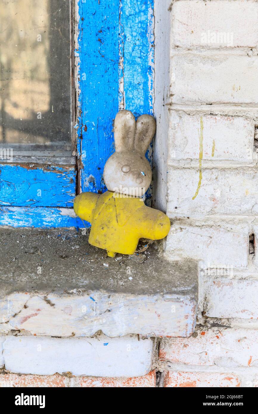 Rabbit accident hi-res stock photography and images - Alamy