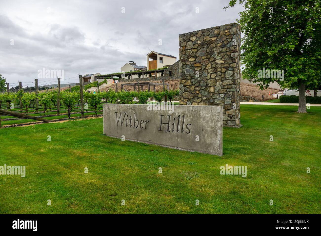 Wither Hills Winery In Burleigh New Zealand Stock Photo