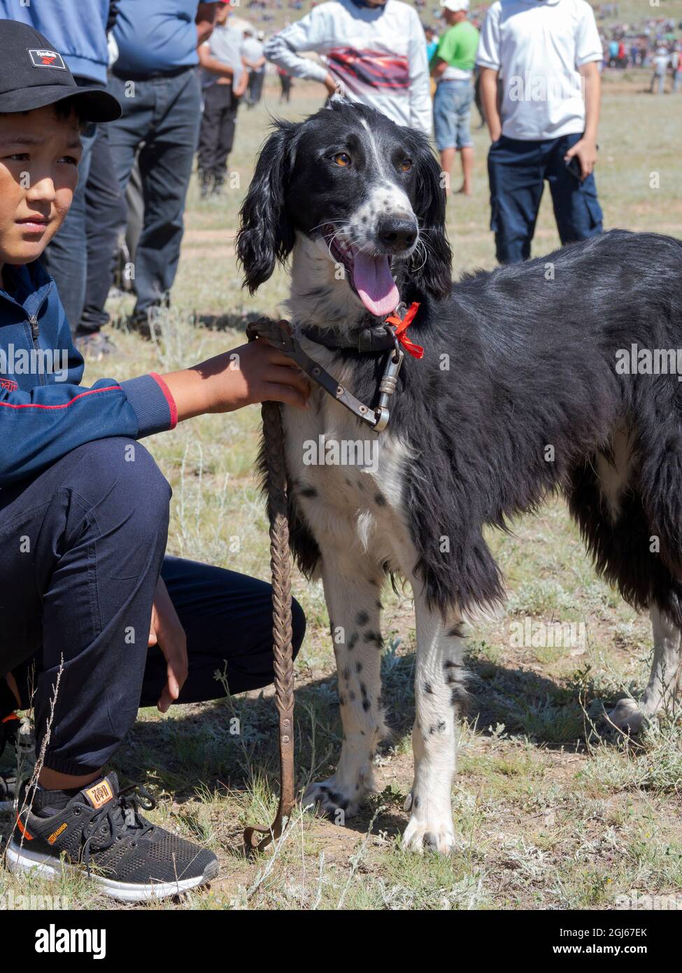 Breeders of Kyrgyz hunting dog, Taigan, during a competition. Folk and Sport Festival commemorating Mr. Koshomkul, a sportsman and folk hero of the la Stock Photo