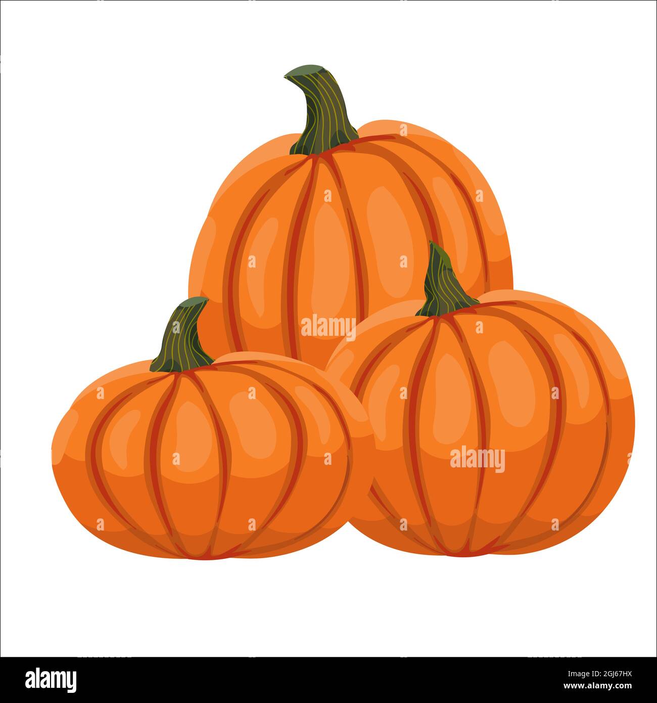 illustration of orange pumpkins in cartoon style. A bunch of pumpkins. Vector clipart isolated on white background Stock Vector