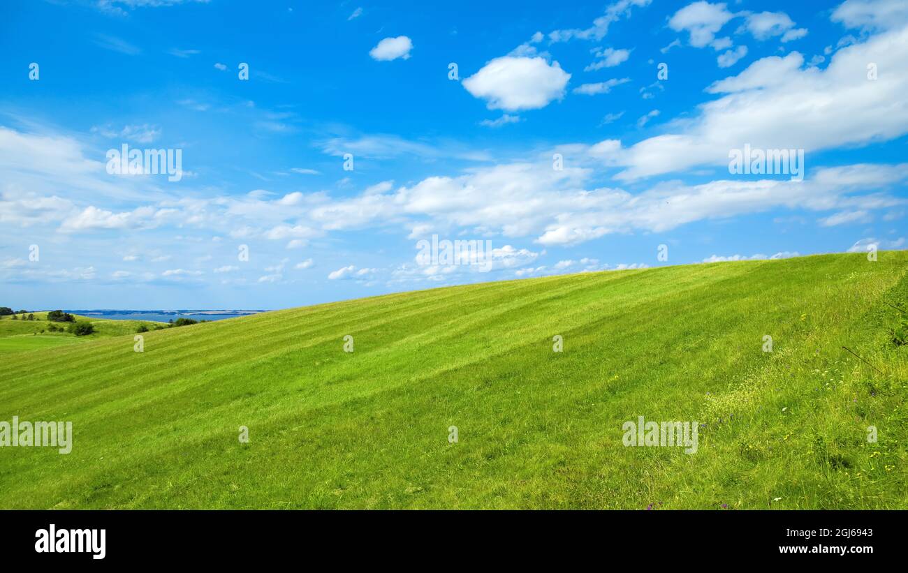 green meadow with a blue sky Stock Photo
